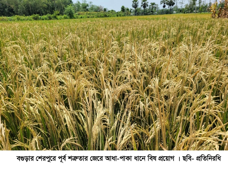 সেচযন্ত্র ভাঙচুর থানায় অভিযোগ